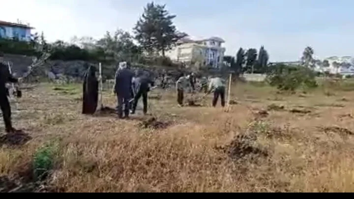 پویش نهالکاری «در سایه مادر» با حضور گسترده مردم در ساحل مازندران رونق گرفت