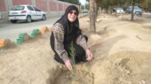 پویش نهال‌کاری روز مادر در سمنان؛ وقتی درختان، یادبود مادران شهید می‌شوند!