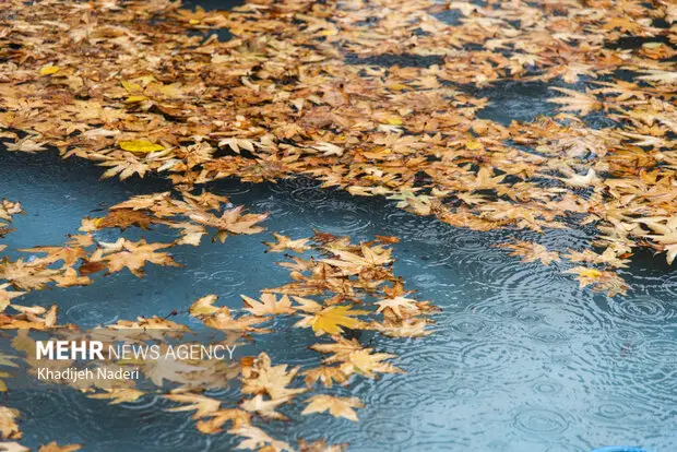 شهردار اصفهان اعلام کرد؛ مدیریت کامل روان‌آب‌های بارش‌های اخیر بدون هیچ مشکلی!