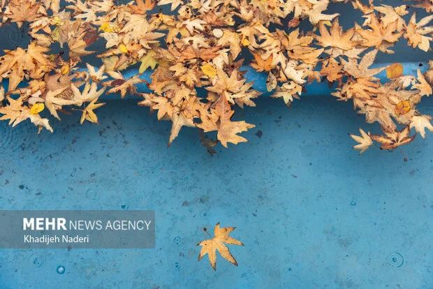 بارش بی‌سابقه در سمیرم؛ رکورد بارندگی ۳۲.۵ میلیمتری در اصفهان شکسته شد!