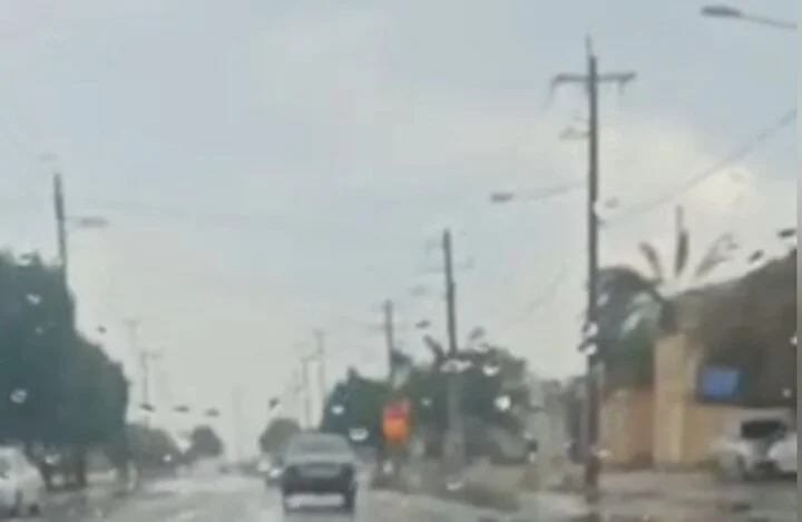 بارش اولین باران پاییزی در گناوه؛ طبیعتی تازه و دل‌انگیز در انتظار مردم