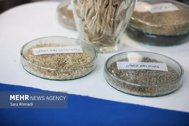 مدارس تا چه حد از رویکردهای پژوهشی دانش آموزان استقبال می‌کنند؟