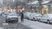 سپیدان فارس سفیدپوش شد؛ بارش برف آغاز شد!