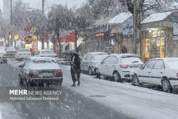 سپیدان فارس سفیدپوش شد؛ بارش برف آغاز شد!