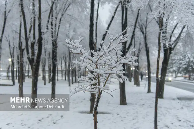 وزش باد شدید و آغاز بارش برف در زنجان؛ هشدار جدی هواشناسی به مردم
