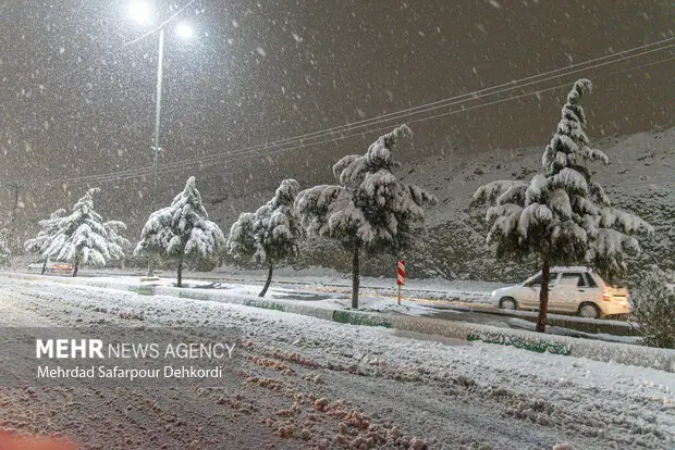 سردترین نقطه استان همدان کجاست؟ گل‌تپه با دمای منفی ۸ درجه رکورد زد!