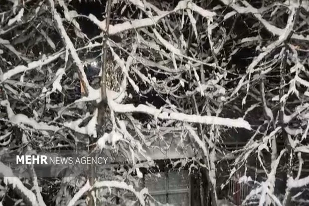 بارش برف سنگین در روستای شکرتو فریمان باعث شگفتی اهالی شد!