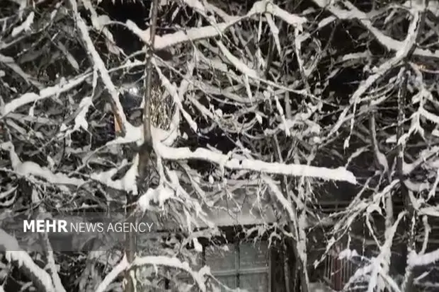 آغاز بارش برف سنگین در مرکز و کوهستان‌های جنوب آذربایجان غربی؛ هشدار جدی برای رانندگان!