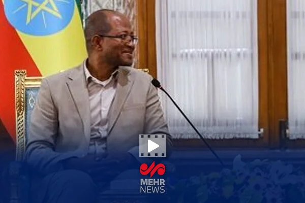 رئیس مجلس اتیوپی در دیداری مهم با عراقچی؛ چه نکاتی مطرح شد؟