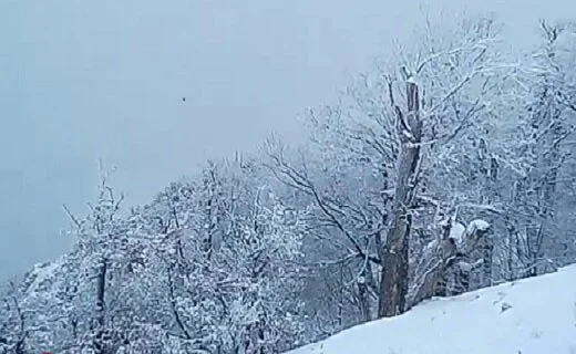 روزهای آخر پاییزی در مازندران؛ برفی، بارانی و شاید سیلابی