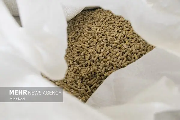 موجودی انبوه نهاده دامی در بنادر؛ نگرانی‌ها کاهش یافت!