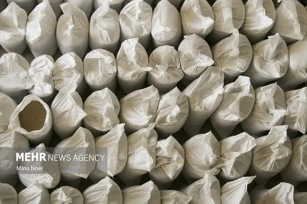 کشف ۱۵۰ میلیارد تومان نهاده دامی قاچاق در انباری مخفی فلاورجان؛ ماجرایی که کشاورزان را شوکه کرد!