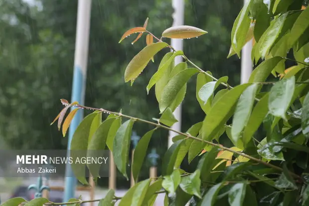 موج اصلی بارش‌ها با صاعقه‌های سهمگین به هشتبندی هرمزگان رسید!