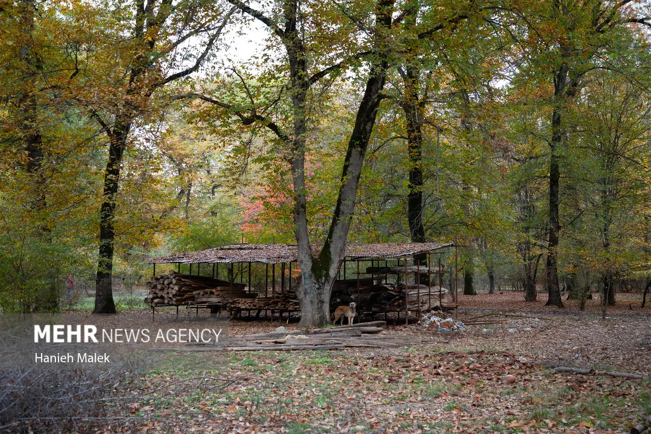 موزه روستایی گلستان نوروز ۱۴۰۵ میزبان گردشگران می‌شود
