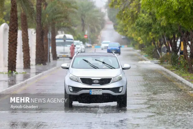 بارش باران در بیرجند؛ طراوتی که شهر را زنده کرد!