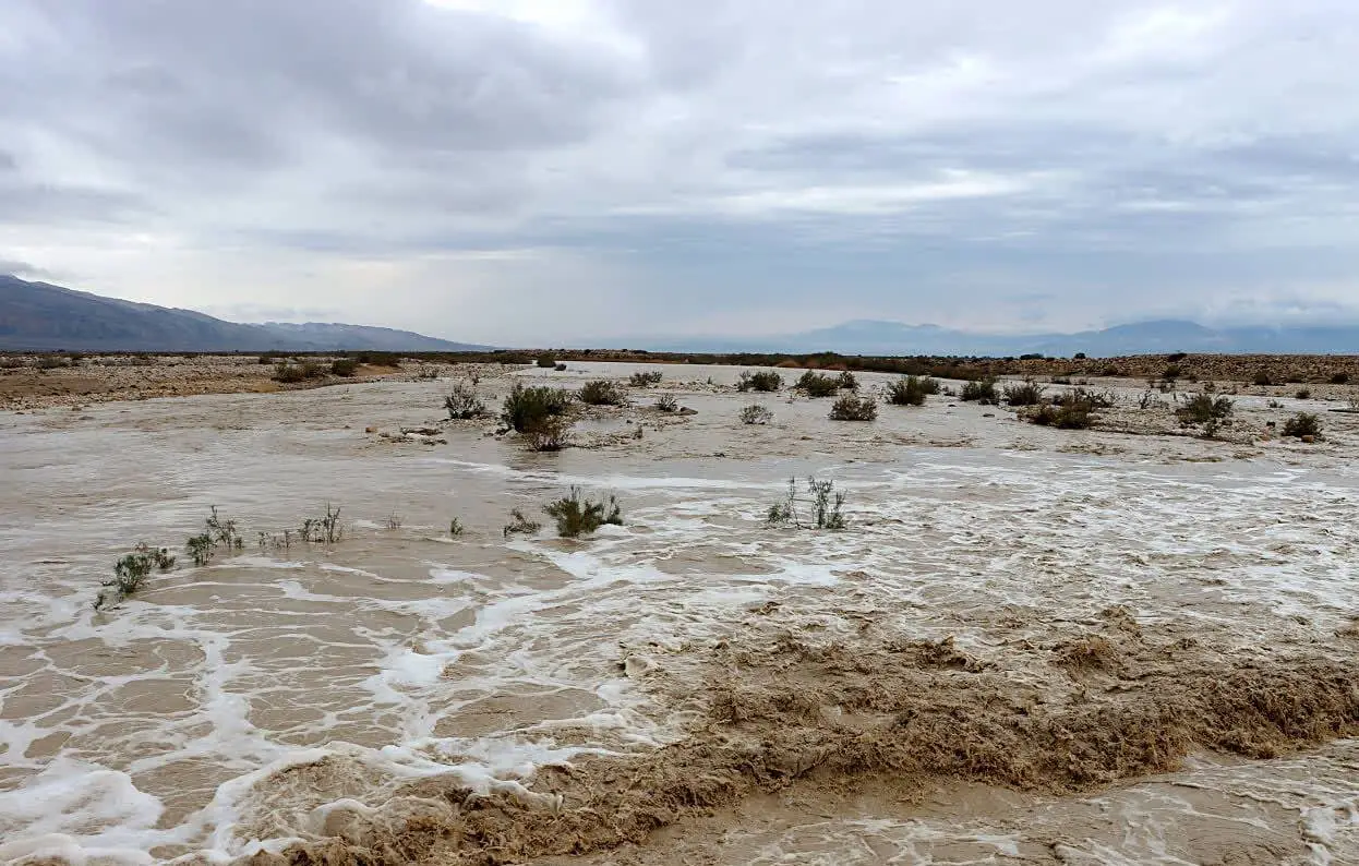 فرماندار دشتی:مردم از تجمع و تردد درحاشیه رودخانههای فصلی خوداری کنند