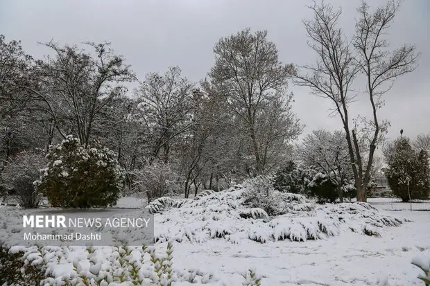 بارش سنگین برف در کجور؛ راه ۴۲ روستای بالادست کاملا مسدود شد!