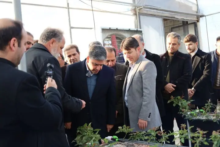 افتتاح گلخانه رز گلد در سرعین با ظرفیت تولید ۱۰۰ هزار شاخه گل در سال