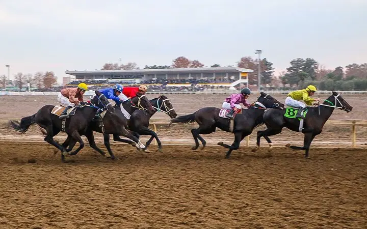 هیجان بی‌نظیر در کورس‌های پاییزی گنبدکاووس؛ رقابت نفس‌گیر ۷۰ اسب ترکمن و تروبرد!