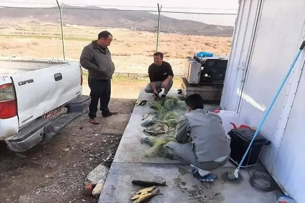 دستگیری جسورانه صیادان متخلف در تالاب نوروزلو با کشف ادوات غیرمجاز!