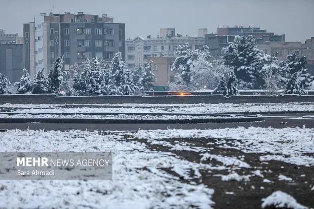 بارش بی‌وقفه برف در مشهد؛ شهر سفیدپوش همچنان در انتظار زمستانی سخت!