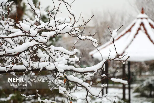 هوای پاک و برفی مشهد؛ نفس راحت شهر در روزهای سرد!