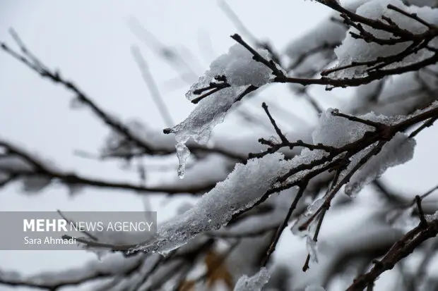 بارش شدید در کهک؛ همه مدارس شنبه به‌صورت غیرحضوری برگزار می‌شود!