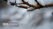 آغاز افزایش دما در خراسان رضوی پس از خروج سامانه بارشی؛ هشدار آلودگی هوا در مشهد