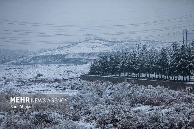 هشدار هواشناسی: شب یلدا در مشهد با دمای منفی ۸ درجه و مه غلیظ می‌آید!