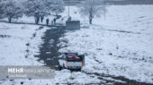 بارش برف و مه غلیظ؛ محورهای روستایی یزد قفل شد، هشدار جدی به مردم!