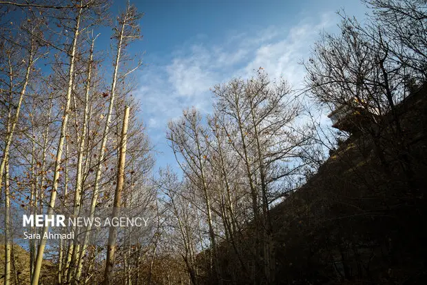 هوای مشهد امروز در وضعیت زرد؛ آیا تنفس در همه مناطق امن است؟