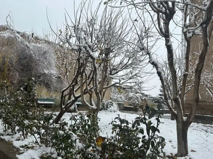 چناران در زیر بارش برف؛ روزی جادویی و خاطره‌انگیز در شهرستان تاریخی