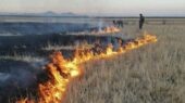 آتش‌سوزی مهیب در سواحل جنوبی دریاچه ارومیه؛ واکنش سریع نیروها آتش را خاموش کرد!