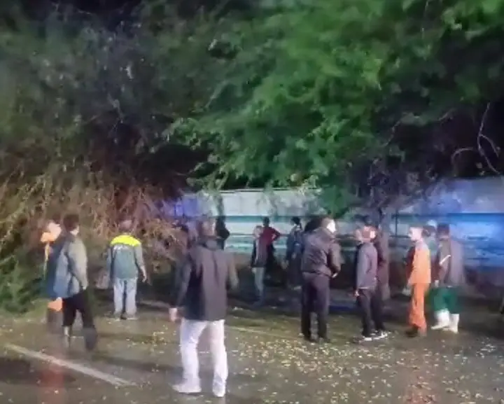 طوفان سنگین در بوشهر؛ چرا هیچ خسارت جانی گزارش نشد؟