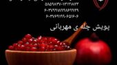 پویش «چله مهربانی» در کردستان؛ قدم کوچک شما برای آزادی زندانیان مالی