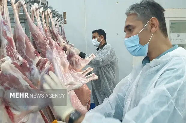 اجرای سخت‌گیرانه طرح ساماندهی کشتار دام در بوشهر؛ کشتارگاه‌های سنتی بسته شدند!
