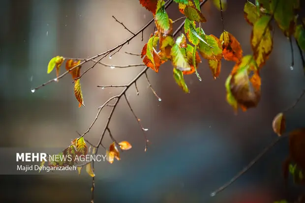 سامانه بارشی جدید در راه خراسان جنوبی؛ سرمای شبانه همچنان ادامه دارد