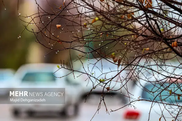 ثبت ۶۶ میلی متر بارندگی در ایوان استان ایلام