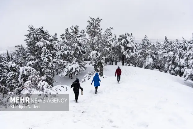 بارش شگفت‌انگیز ۵۵ سانتی‌متری برف در روستای علی کرمی دمچنار؛ طبیعت سفیدپوش شد!