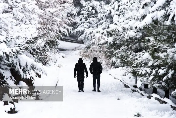 بارش برف جادویی در تفرجگاه پیر کدو بوانات؛ طبیعت فارس سفیدپوش شد!