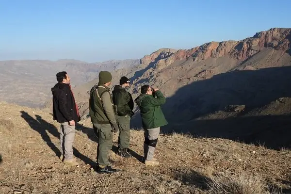 پایان سرشماری دقیق حیات وحش مراکان؛ رازهای تازه از جمعیت گونه‌ها فاش شد