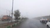 هشدار جدی مه صبحگاهی؛ دید رانندگان در محورهای بوشهر شدیداً کاهش یافت!