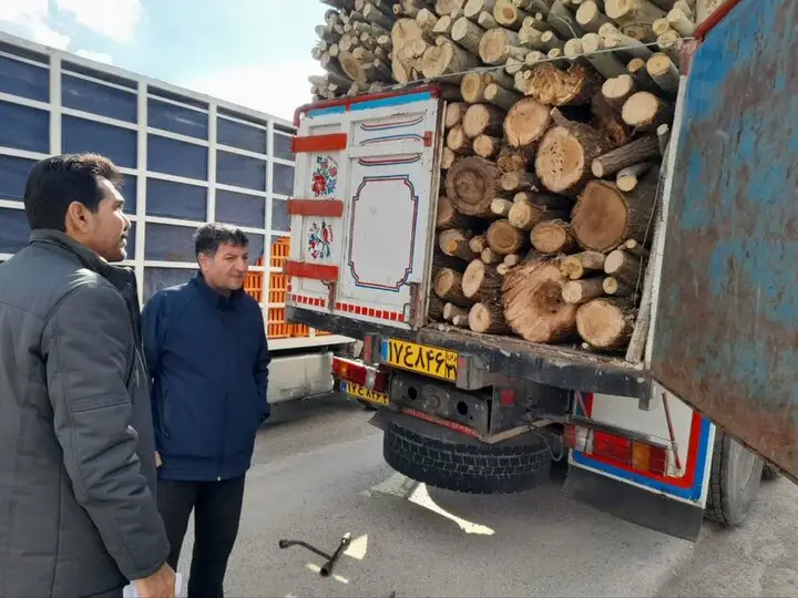 مفاخری خبر داد؛ کشف محموله قاچاق چوب بید در کامیاران