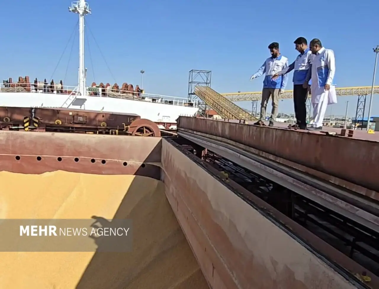 حسینی: کنترل دقیق نهاده‌های دامی پیش از ورود به چرخه تولید ضرورت دارد