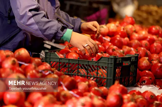 دادستان رودهن هشدار داد: شب یلدا بدون گران‌فروشی، برخورد قاطع در راه است!