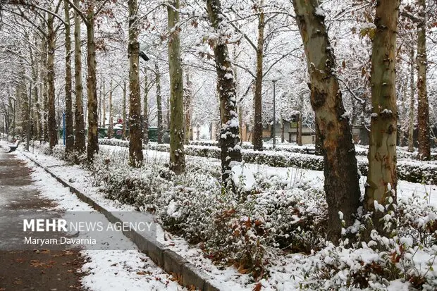 آخرین موج بارشی کشور در حال فروکش؛ باران و برف پراکنده در ۵ استان شمالی و شرقی