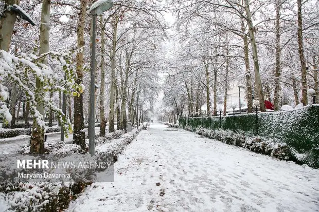 تداوم سرما در استان سمنان؛ کالپوش ۹ درجه زیر صفر!