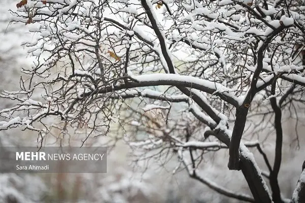 کاهش سرما در همدان و بارش‌های خفیف برف؛ تغییرات جوی مهم امروز را بشناسید!