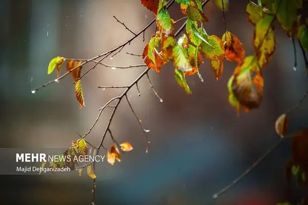 ورود سامانه بارشی سرد به ایلام؛ برف و رعد و برق در انتظار مردم!