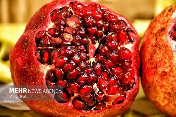 جشن شب یلدا در پاسگاه پیته نو بهشهر؛ روایت ویژه‌ای که نمی‌دانستید!